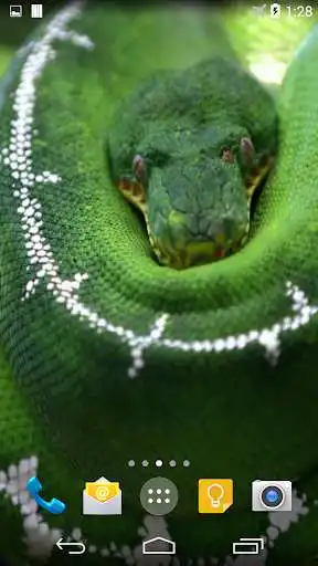 Play Python Live Wallpaper