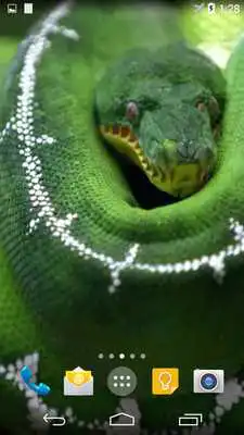 Play Python Live Wallpaper
