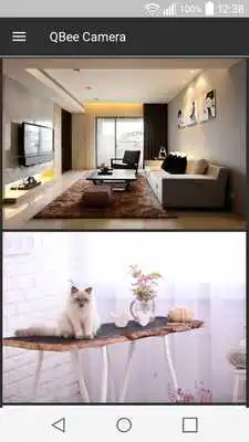 Play QBee Cam