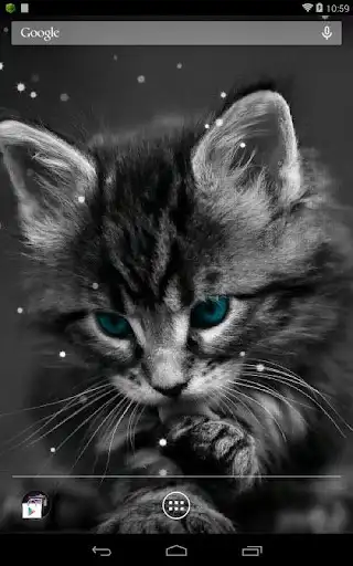Play Q Cat Live Wallpaper as an online game Q Cat Live Wallpaper with UptoPlay