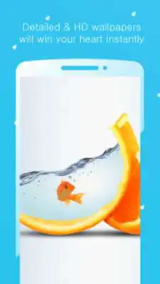 Play QHD Splash  Watery Wallpapers