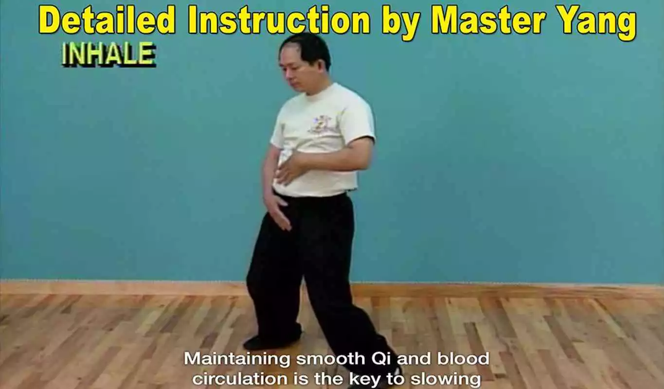 Play Qigong Massage: Partner