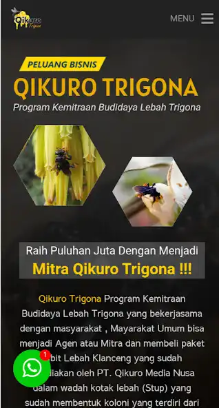 Play Qikuro Trigona as an online game Qikuro Trigona with UptoPlay