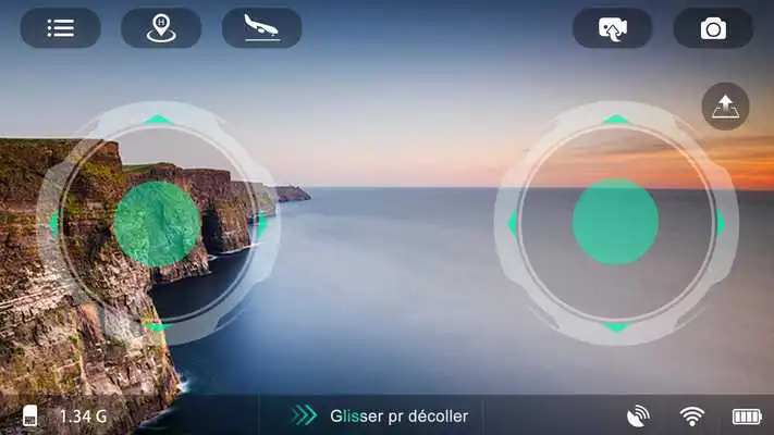 Play QimmiQ Birdy