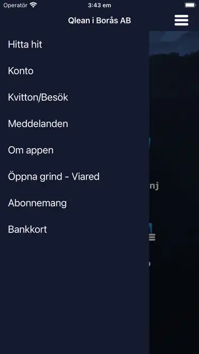 Play Qlean.Стирка as an online game Qlean.Стирка with UptoPlay