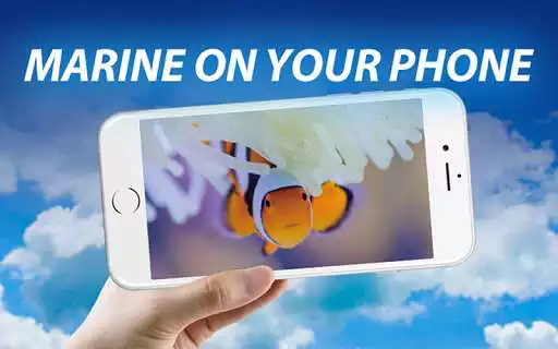 Play QSmartOnline as an online game QSmartOnline with UptoPlay