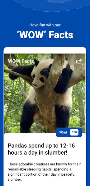 Play Qtopia: Quiz  Fun Facts as an online game Qtopia: Quiz  Fun Facts with UptoPlay