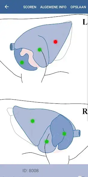 Play qTUS  and enjoy qTUS with UptoPlay