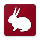 Free play online Quacha - Management rabbit breeding APK