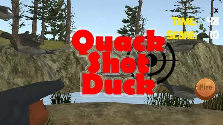 Play Quack Shot Duck Hunter Play Quack Shot Duck Hunter