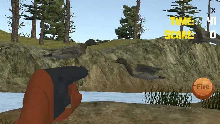 Play Quack Shot Duck Hunter Play Quack Shot Duck Hunter