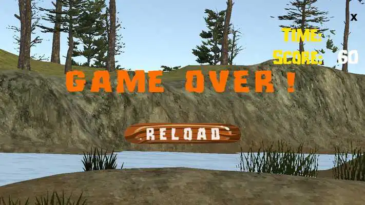 Play Quack Shot Duck Hunter Play Quack Shot Duck Hunter