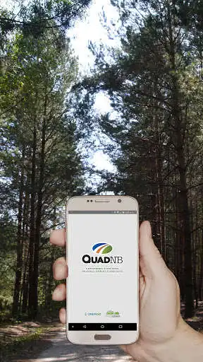 Play QuadNB  and enjoy QuadNB with UptoPlay