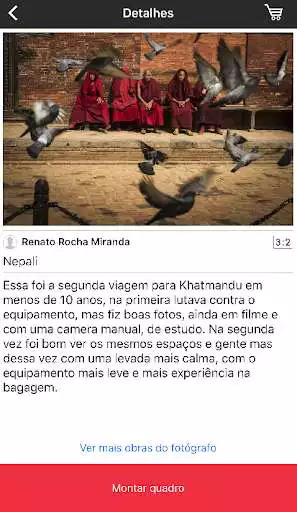 Play Quadra
