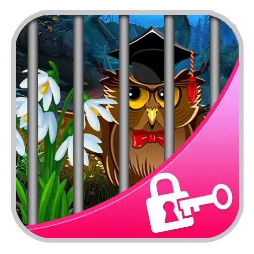 Play Qualified Owl Escape APK