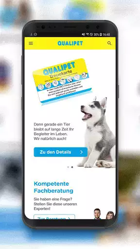 Play QUALIPET  and enjoy QUALIPET with UptoPlay