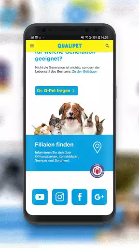 Play QUALIPET as an online game QUALIPET with UptoPlay