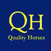 Free play online Quality Horses APK