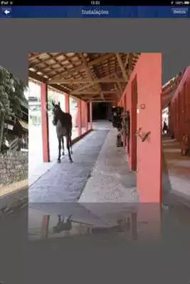 Play Quality Horses Play Quality Horses