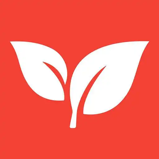 Play Quantum Manners APK