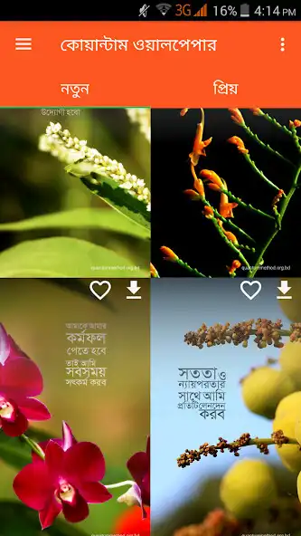 Play Quantum Wallpaper  and enjoy Quantum Wallpaper with UptoPlay