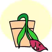 Free play online Quick Collect Flower APK Free play online Quick Collect Flower APK