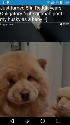 Play Quick Glance for Reddit