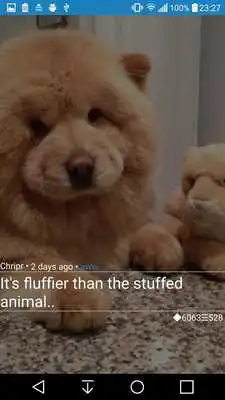 Play Quick Glance for Reddit