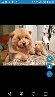 Play Quick Glance for Reddit