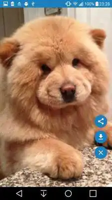 Play Quick Glance for Reddit