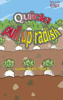 Play Quick! pull up radish