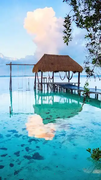 Play Quintana Roo Wallpaper as an online game online Quintana Roo Wallpaper with UptoPlay Play Quintana Roo Wallpaper as an online game Quintana Roo Wallpaper with UptoPlay