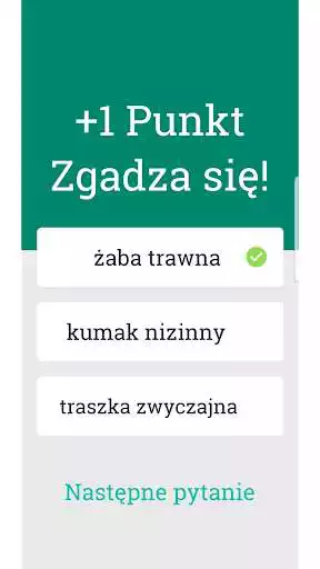 Play Quiz Amelung as an online game Quiz Amelung with UptoPlay