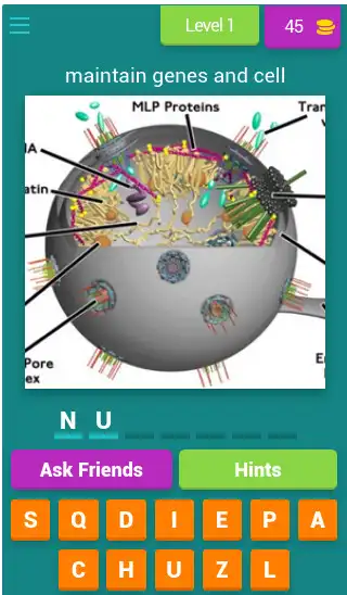 Play QUIZ BIO CELL 2022  and enjoy QUIZ BIO CELL 2022 with UptoPlay
