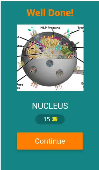 Play QUIZ BIO CELL 2022 as an online game QUIZ BIO CELL 2022 with UptoPlay