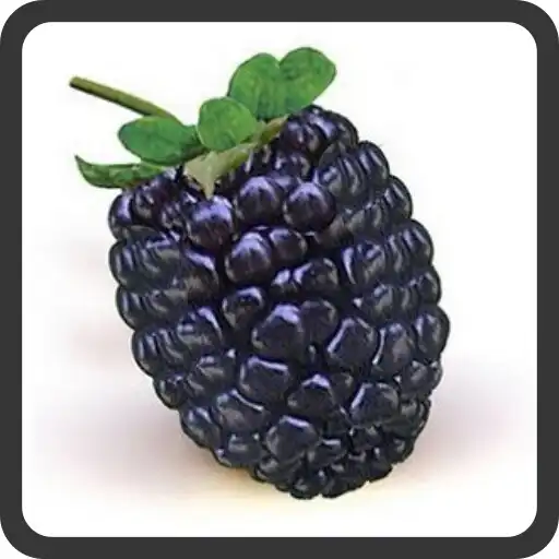 Play Quiz fruits name APK Play Quiz fruits name APK