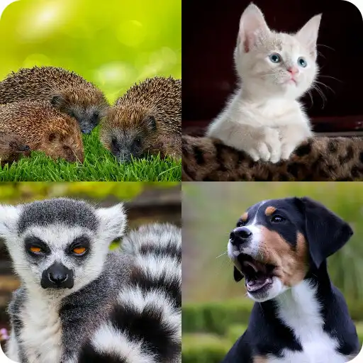 Play Quiz Guess The Animal APK Play Quiz Guess The Animal APK