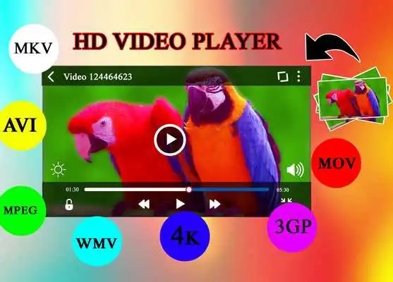 Play Quiz of World Map