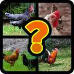 Free play online Quiz the name of the animal  APK