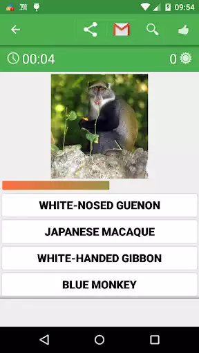 Play Quizz : Animals Play Quizz : Animals