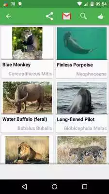 Play Quizz : Animals Play Quizz : Animals
