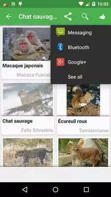 Play Quizz : Animals Play Quizz : Animals
