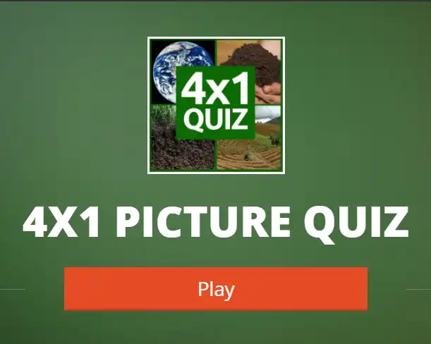 Play Quizzes ( calculate IQ ) as an online game Quizzes ( calculate IQ ) with UptoPlay