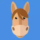Free play online Quizz Horses  Ponies APK