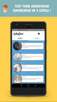 Play Quizz Horses  Ponies