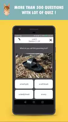 Play Quizz Horses  Ponies