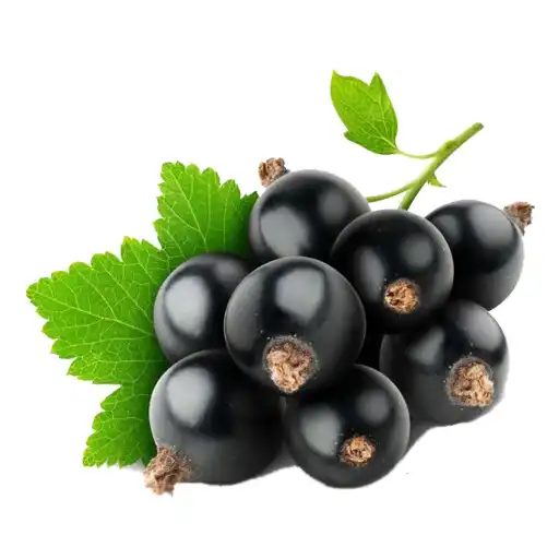 Play Смородина: от "А" до "Я" APK