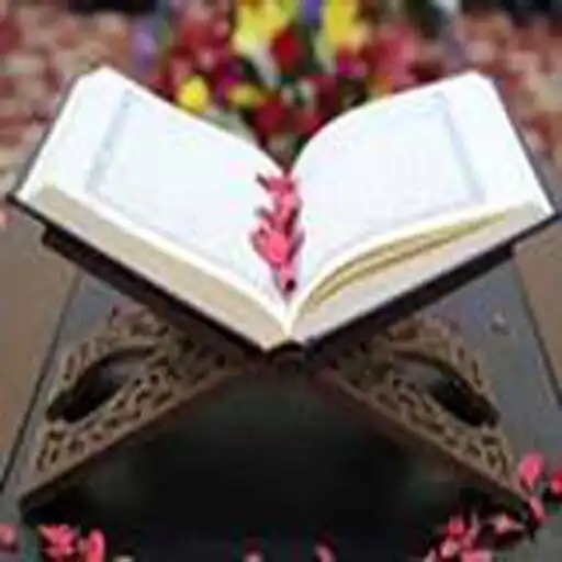 Play Quran Mazid : Video Player APK Play Quran Mazid : Video Player APK