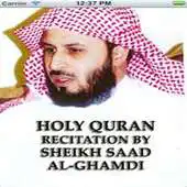 Free play online Quran Recitation by Al Ghamdi APK