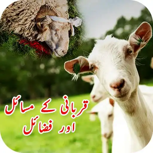 Play Qurbani Ke Masail & Fazail Eid ul Adha: Bakra Eid APK